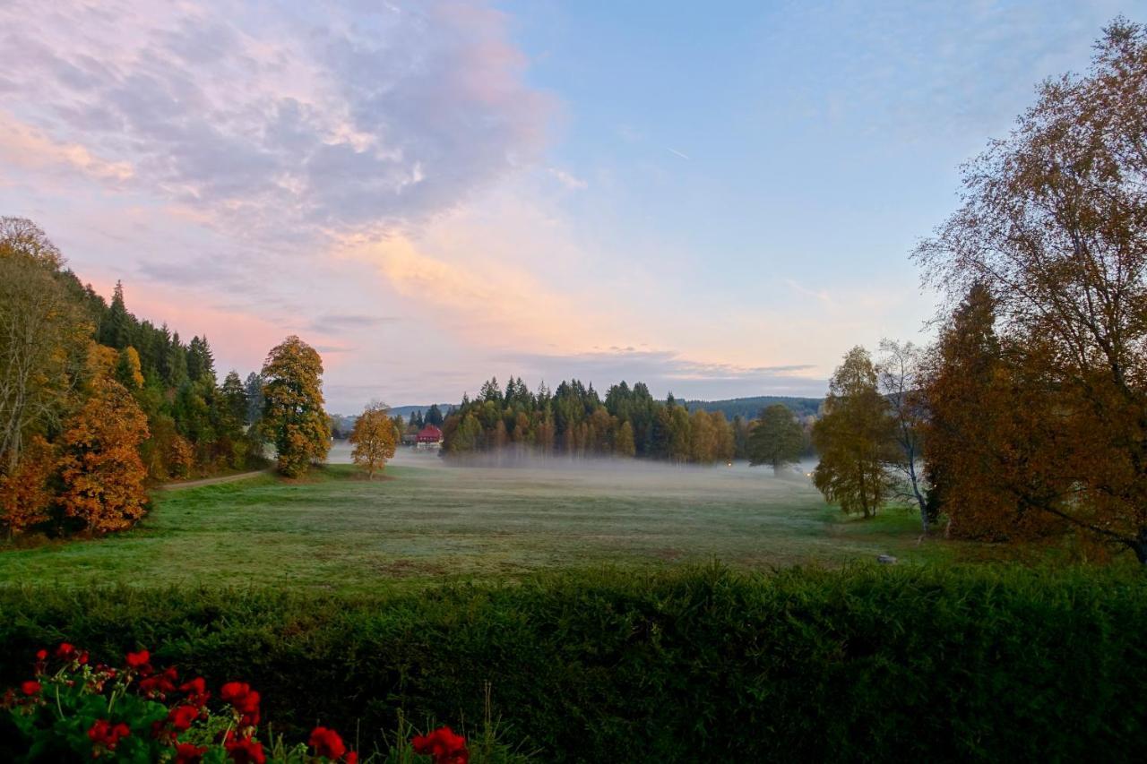 Hollhouse - Bed & Breakfast Hinterzarten Esterno foto