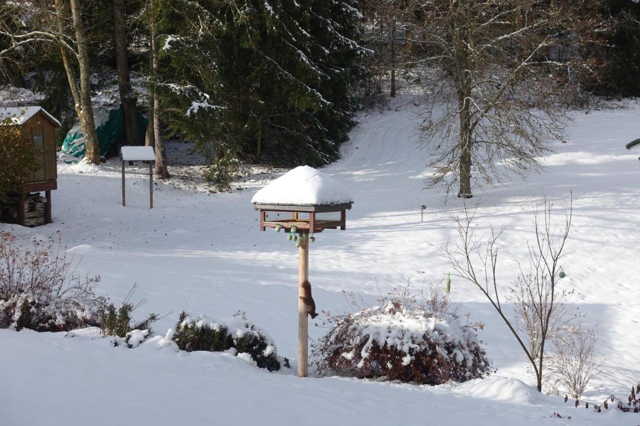 Hollhouse - Bed & Breakfast Hinterzarten Esterno foto