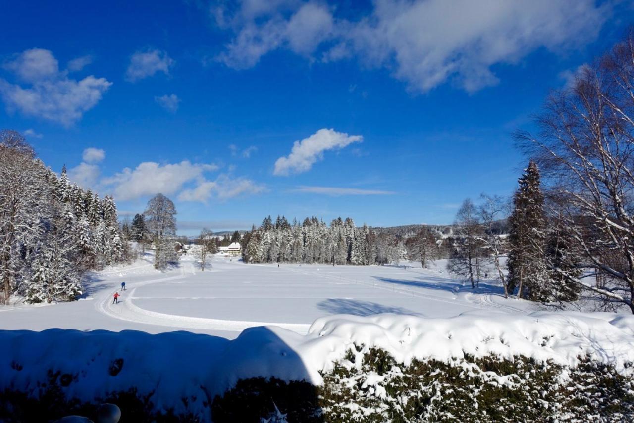 Hollhouse - Bed & Breakfast Hinterzarten Esterno foto