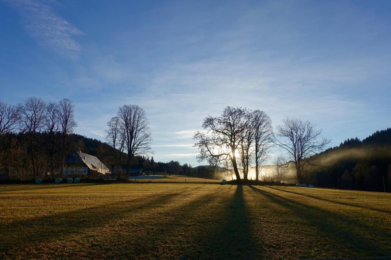 Hollhouse - Bed & Breakfast Hinterzarten Esterno foto