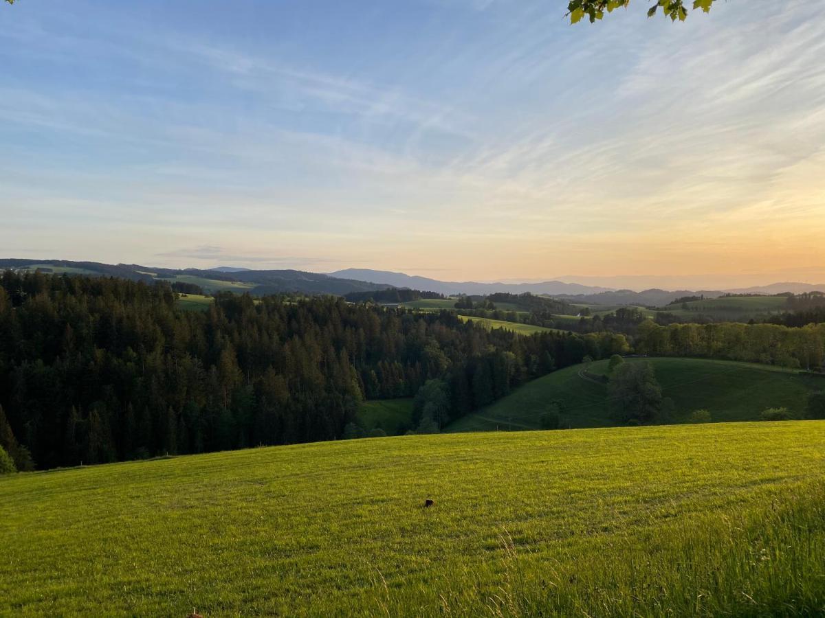 Hollhouse - Bed & Breakfast Hinterzarten Esterno foto