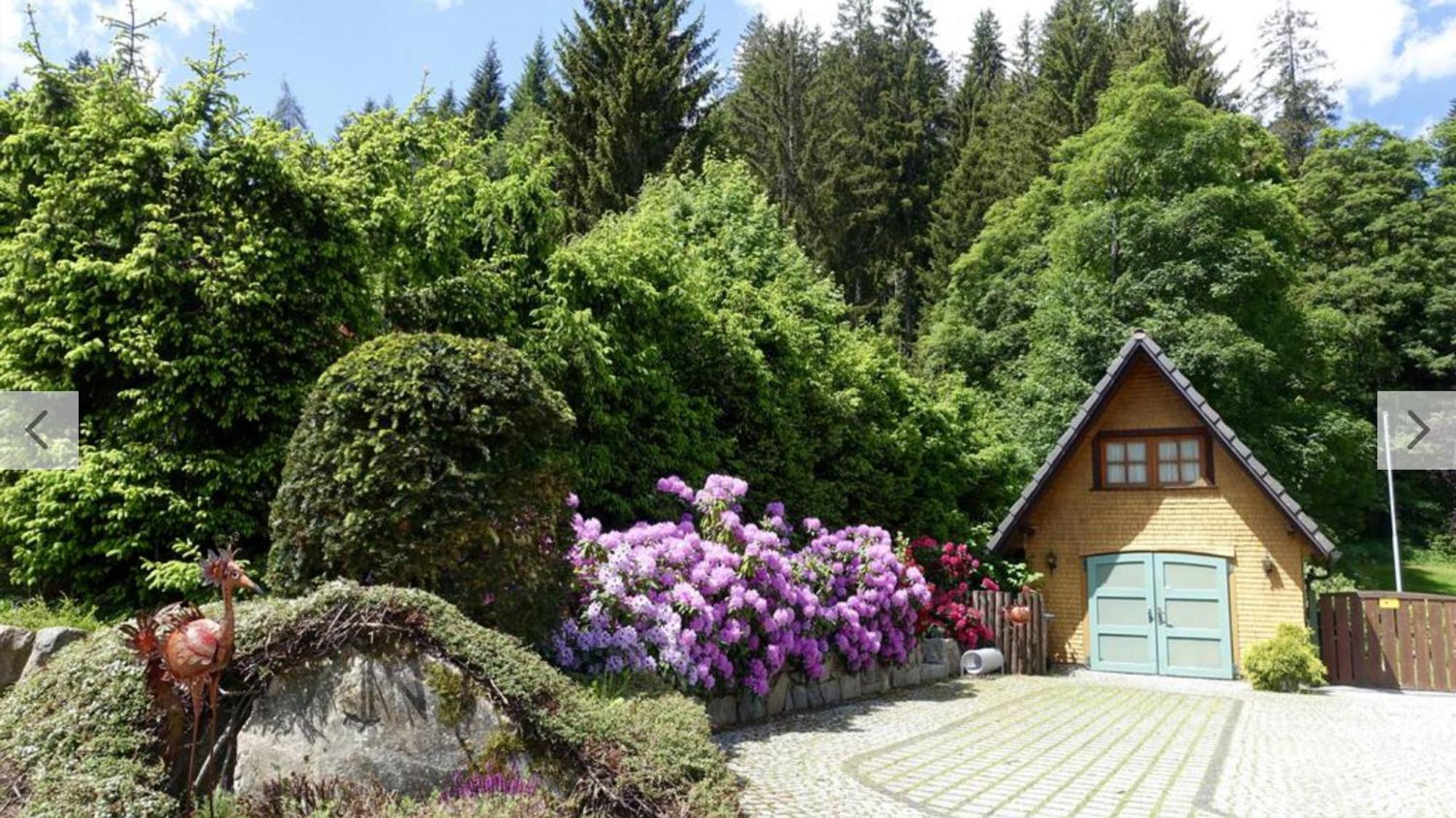 Hollhouse - Bed & Breakfast Hinterzarten Esterno foto