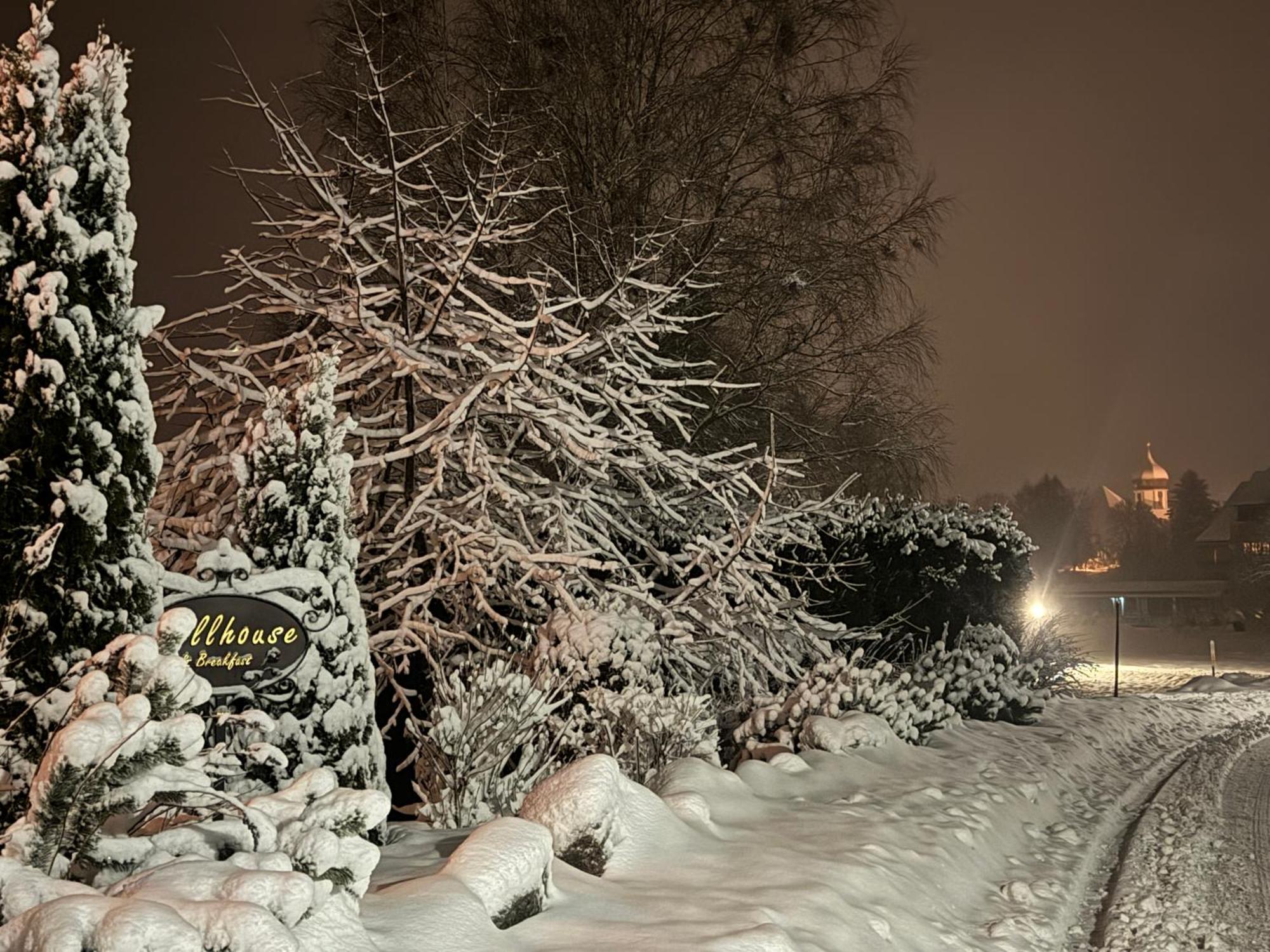Hollhouse - Bed & Breakfast Hinterzarten Esterno foto