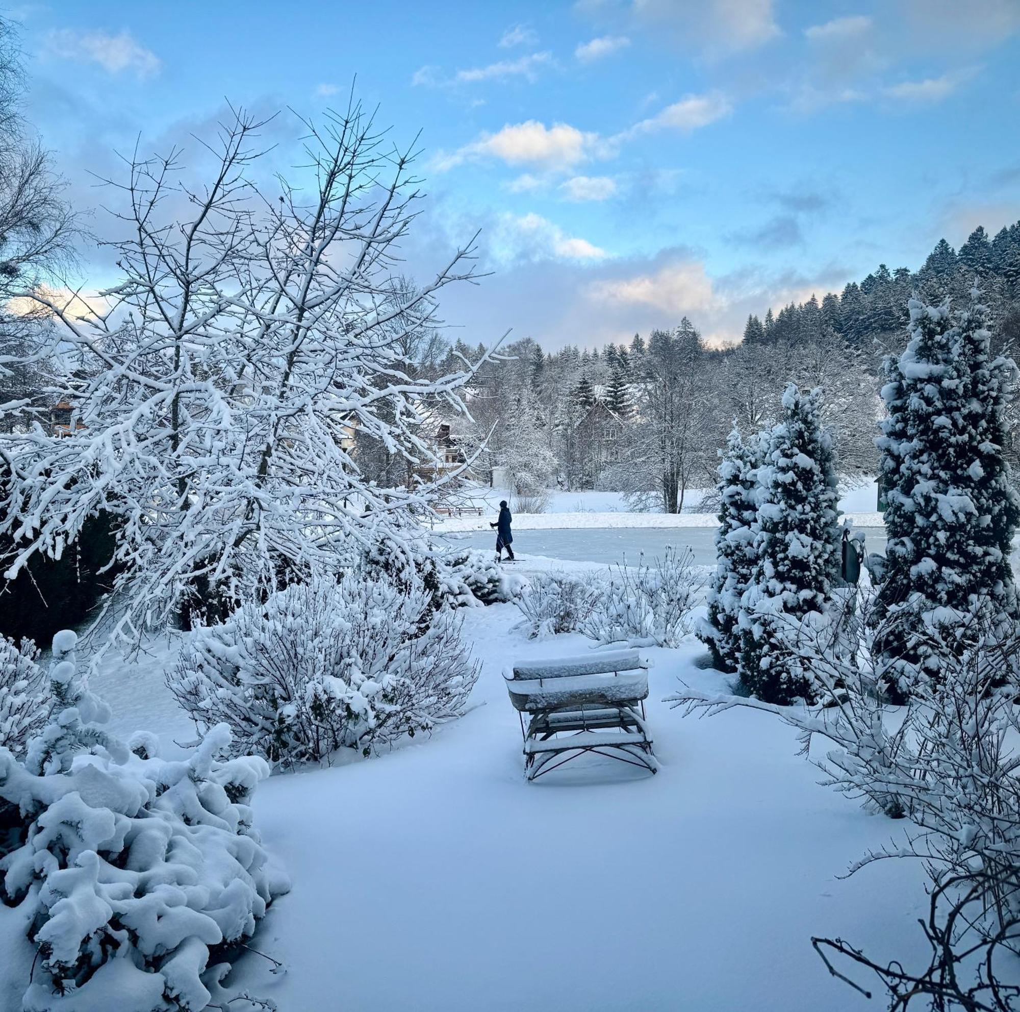 Hollhouse - Bed & Breakfast Hinterzarten Esterno foto